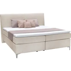 Boxspringbett ALINA "Pamir", beige (beige dfn, dfh 31), B:174cm L:215cm, Samtstoff DFN (100% Polyester), Samtstoff DFH (100% Polyester), Komplettbetten, Boxspringbett, inklusive Matratze und Topper, in diversen Ausführungen
