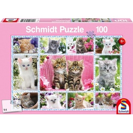 Schmidt Spiele Katzenbabys (56135)