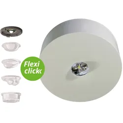 RP-Technik LED-Sicherheitsleuchte ILDL423SC