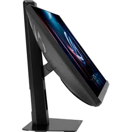 Asus ROG Strix XG248QSG 24,1"
