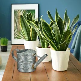 Relaxdays Gießkanne 1,3 Liter silber