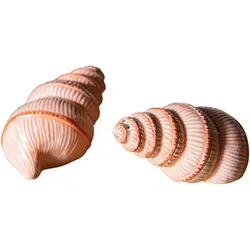 &klevering - Salz- und Pfefferstreuer, Shell, orange