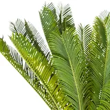 HJH Office Kunstpflanze CYCAS Kunststoff, Stoff