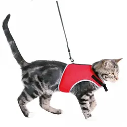 Trixie Katzen-Softgeschirr mit Leine
