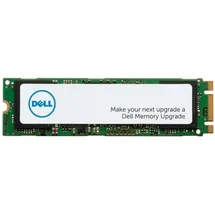 Dell Class 20 256 GB M.2