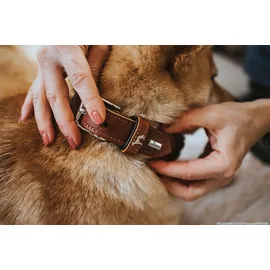 Hunter El Paso Hundehalsband cognac/schwarz 55