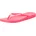 ANAT COLORS FEM Pink 40