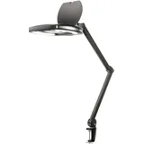 TOOLCRAFT Arbeitsleuchte Stahl schwarz