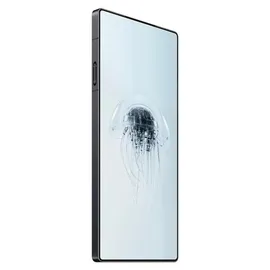 nubia REDMAGIC 10 Pro 12 GB RAM 256 GB Shadow