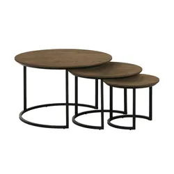 Couchtisch 3er Set  Dover ¦ holzfarben