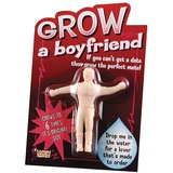 Forum Novelties F56963 Novelty Grow a Boyfriend Neuheit, beige, Einheitsgröße