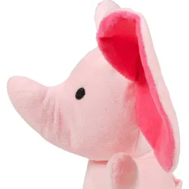 Gloria Hoa 20 cm Rosa