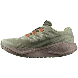 Salomon Aero Blaze 3 Herren Tea / Iron / Burnt Ochre 42