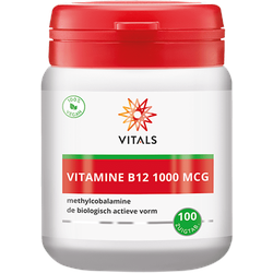 Vitamin B12 1000 mcg (Methylcobalamin)
