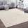 Paco Home Teppich, Wohnzimmer, Kurzflor Weich, rutschfest Modern Einfarbiges Muster Creme, Grösse:300x400 cm,