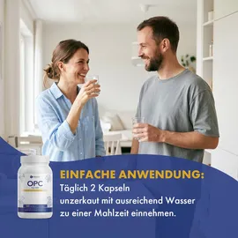 provilea OPC Traubenkernextrakt Kapseln 120 St.