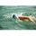 Zoggs Horizon Flex Schwimmmaske blau/weiß One Size