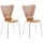 CLP Calisto Holz Braun