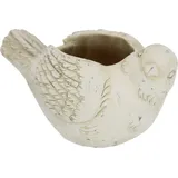 I.GE.A. Zement-Pflanztopf Vogel 22 x 11 cm Beige