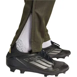 adidas Sq25 TR PNT Herren Trainingshose, grün - 3XL