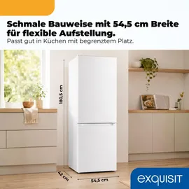 Exquisit KGC265-70-NF-040C Kühl-Gefrierkombination (253 l, 1805 mm hoch, Weiß)