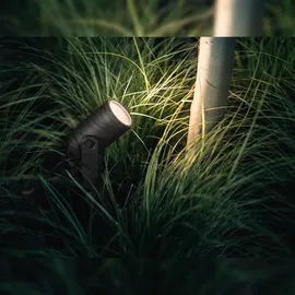 Philips Hue White and Color Ambiance Lily 17415/30/P7