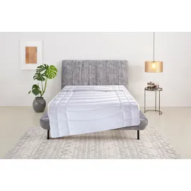 fan Kunstfaserbettdecke FAN "f.a.n. Made in Green "Tegernsee"", weiß, B:200cm L:200cm, Bezug: 100% Baumwolle. Füllung: 100% Polyester, Bettdecken