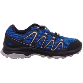Adidas Custer Gore-Tex Herren indigo bunting/night sky/fiery red 43 1/3