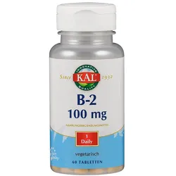 Vitamin B2 100 mg Riboflavin 60 St