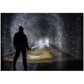 Ledlenser X21R 501967