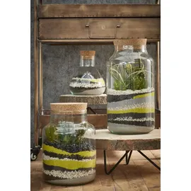 Mica decorations Vorratstopf Emily transparent 18 x 17 cm