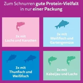 Whiskas Tasty Mix Fisch des Tages Multipack 12 x 85 g