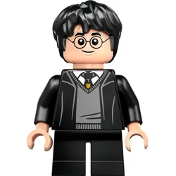LEGO® - Harry Potter - hp470 - Harry Potter (76426)