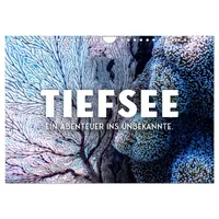 Calvendo Tiefsee - Ein Abenteuer ins Unbekannte. (Wandkalender 2026