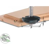 Festool Abplattfräser HW D42,7/13/R6 (491138)