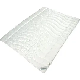 Sympathica Microfaser Feinbatist Leicht-Steppbett 155x200 cm Sommerdecke 400 g