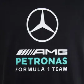 adidas Unisex Kids Mercedes - AMG Petronas Formula 1 Team DNA Graphic Tee, Black, 11-12 Years