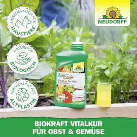 NEUDORFF BioKraft Vitalkur für Obst und Gemüse 300 ml