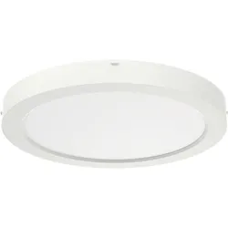 Ridi-Leuchten LED-Sanierungs-Downlight SARA220 NDW #0322094