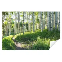 WallArena - Vlies Fototapete Wald Landschaft 400x280 cm - Fototapeten - Tapeten - für Wohnzimmer Schlafzimmer - Vliestapete Wandtapete Tapete 3D Effekt- inkl. Kleister - Birken Natur Birkenwald grün