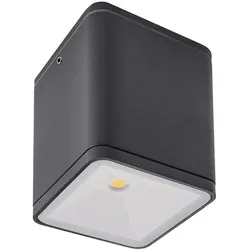 Redo 9199 LED Außen Deckenleuchte 6W | 4000K | IP54
