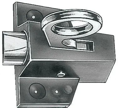 Oberlichtschnäpper -  braun