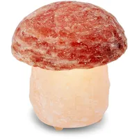Himalaya Salt Dreams Salzkristall-Tischlampe »Pilz«, Leuchtmittel E14 Leuchtmittel wechselbar,