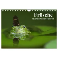 Calvendo Frösche. Quakend durchs Leben (Wandkalender 2026 DIN A4