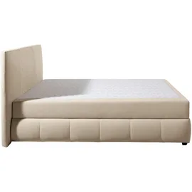 otto home Boxbett OTTO HOME "Hartley inkl. Bettkasten und Topper, auch in Überlänge erhältlich", beige, B:102cm L:210cm, Komplettbetten, wahlweise mit Bonnell- oder TTFK-Matratze in H2, H3 o. H4 erhältlich