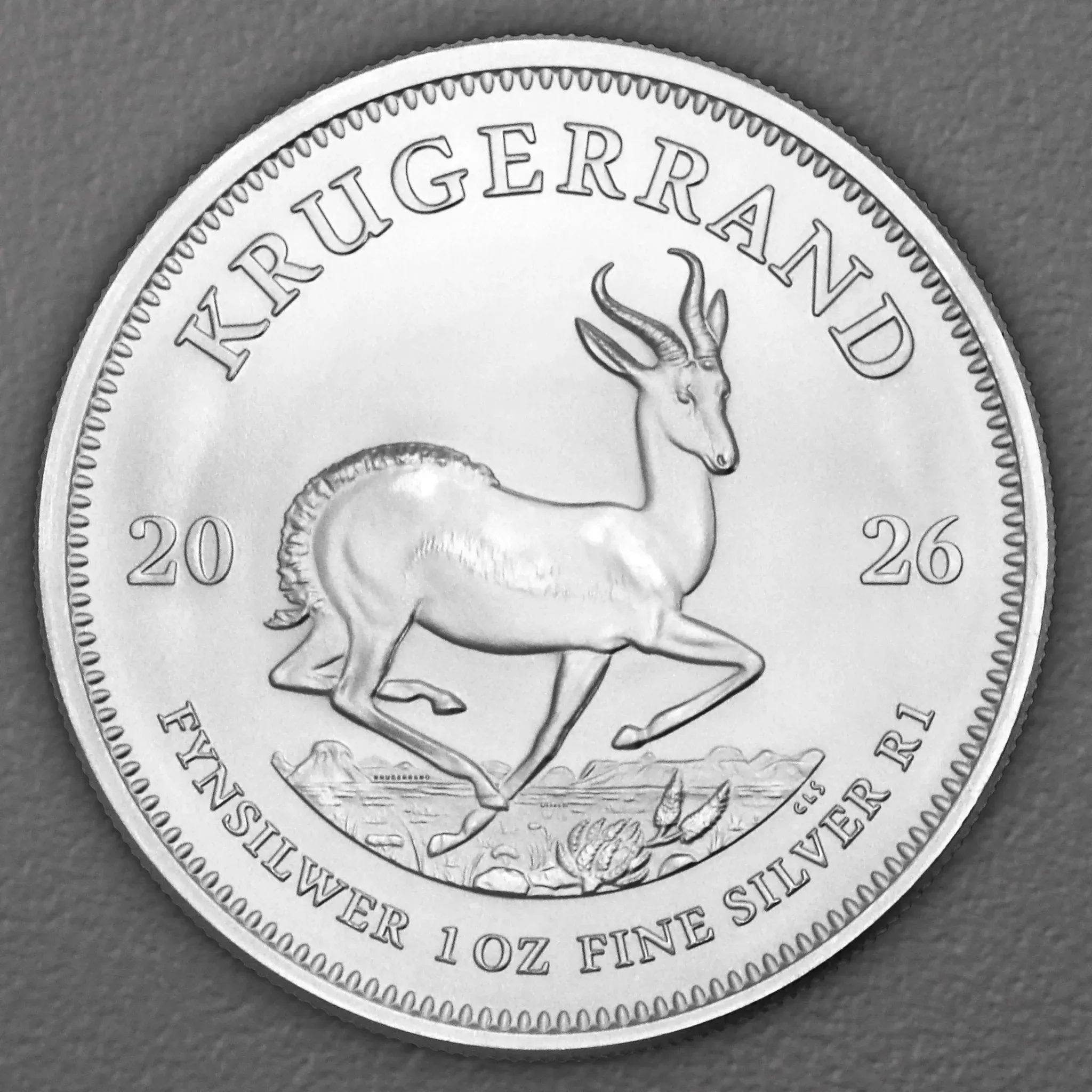 Silbermünze 1oz 
