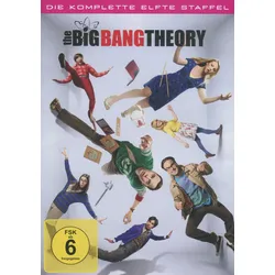 The Big Bang Theory - Staffel 11  [2 DVDs]