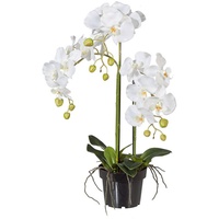 Kunstblume Kunstorchidee Orchidee, Creativ green, Höhe 62 cm weiß 62 cm