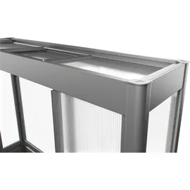 Biohort Gewächshaus Florentina 2 x 1 MAXI B 201,6 x T 103,1 x H 213,4 cm quarzgrau-metallic