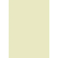 Maestro farbiges Druckerpapier vanille, 100 Blatt